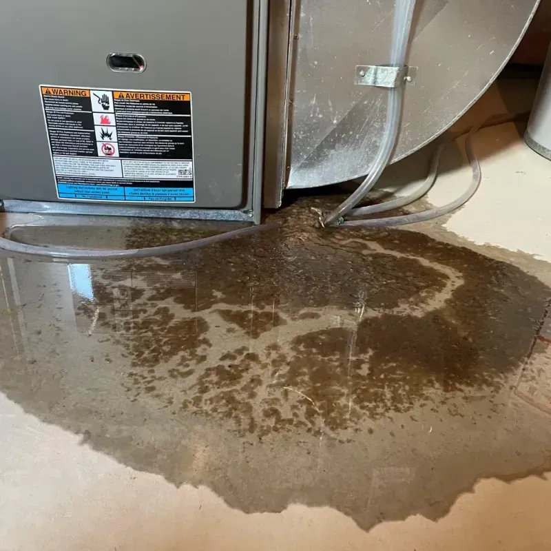 Appliance Leak Cleanup in Paris, TX